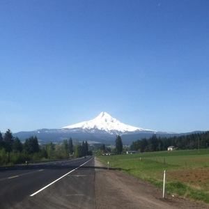 Meet your Posher, Nick